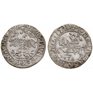 Polska, półgrosz, 1558, Wilno