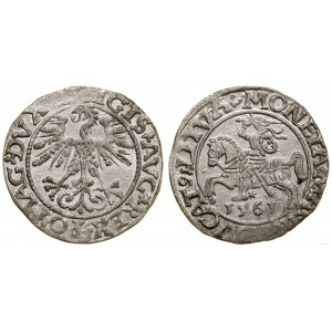 Polska, półgrosz, 1561, Wilno