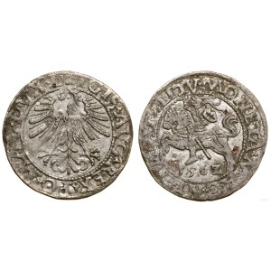 Polska, półgrosz, 1562, Wilno
