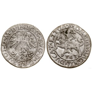 Polska, półgrosz, 1563, Wilno