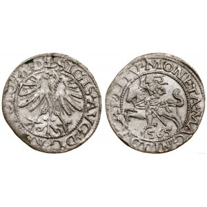 Polska, półgrosz, 1565, Wilno