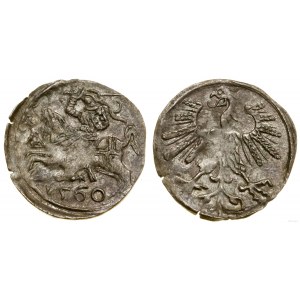 Polska, denar, 1560, Wilno