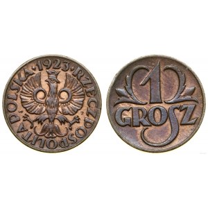 Poland, 1 penny, 1923, Kings Norton