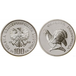 Polska, 100 złotych, 1980, Warszawa