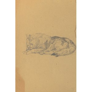 Ludwik MACIĄG (1920-2007), Skizze eines liegenden Hundes