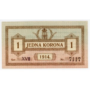 Russia - Ukraine Lwow City Government1 Korona 1914