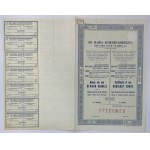 Brazil Bahia Sugar Factories Ltd Certificate for 1 Ordinary Share of 20 Pounds 1905 Specimen