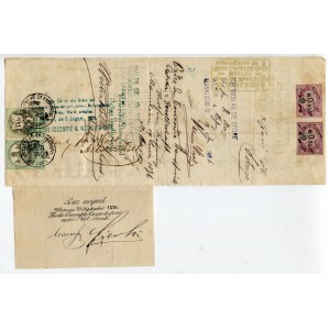 Germany - Empire S.Joerger Bill of Exchange for 900 Austrian Guldens 1876