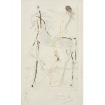 Salvador Dali ( 1904 - 1989 ), aus der Serie Cantique des Cantiques: Die Geliebte ist so schön wie eine Gesellschaft von Pferden, 1971