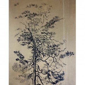 Leon Wyczółkowski, Pine Tree