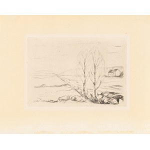 Edvard Munch (1863-1944), Norweski pejzaż (Norwegische Landschaft), 1908