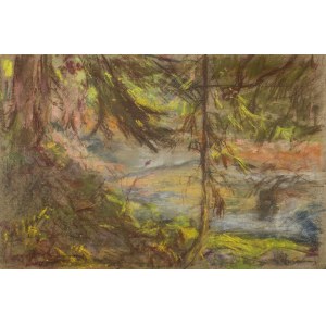 Władysław Serafin (1905-1988), From a mountain stream