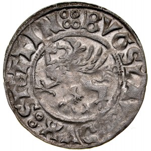 Pomorze, Bogusław X 1478-1523, Szeląg 1519, Szczecin.