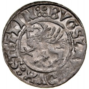 Pomořansko, Boguslaw X 1478-1523, Shelag 1519, Štětín.