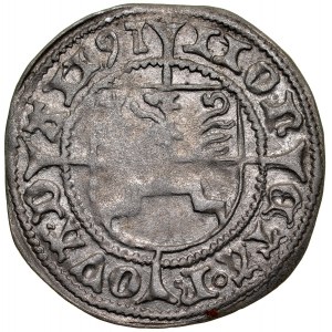 Pomerania, Boguslaw X 1478-1523, Shelleg 1497, Dabie.