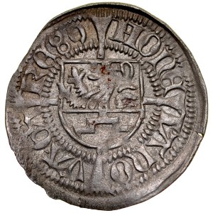 Pomoransko, Boguslaw X 1478-1523, Szeląg 1489, Gardziec.