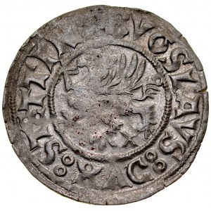 Pommern, Boguslaw X 1478-1523, Szeląg 1518, Szczecin.