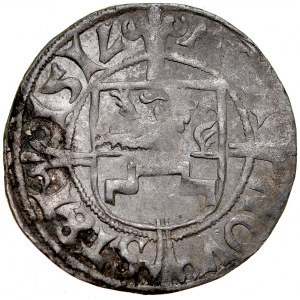 Pommern, Boguslaw X 1478-1523, Szeląg 151V, Szczecin.