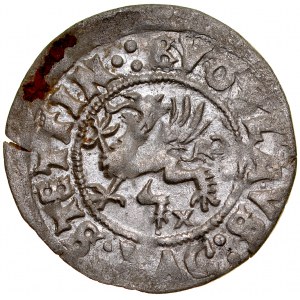 Pomorze, Bogusław X 1478-1523, Wit 1516, Szczecin.