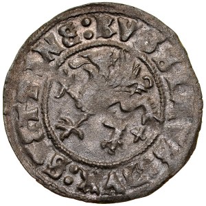 Pomoransko, Boguslaw X 1478-1523, Wit 1520, Szczecin.