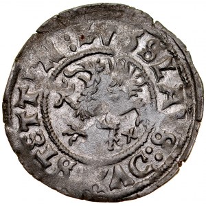 Pomořansko, Boguslaw X 1478-1523, Wit 151V, Szczecin.