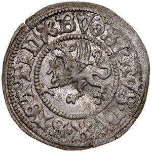 Pomerania, Boguslaw X 1478-1523, Wit 1505, Szczecin.