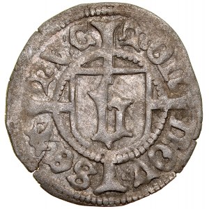 Pomerania, Boguslaw X 1478-1523, Wit MVC, Szczecin.