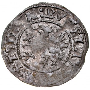 Pomoransko, Boguslaw X 1478-1523, Wit 1512, Szczecin.