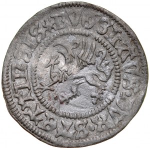 Pomorze, Bogusław X 1478-1523, Wit 1503, Szczecin.