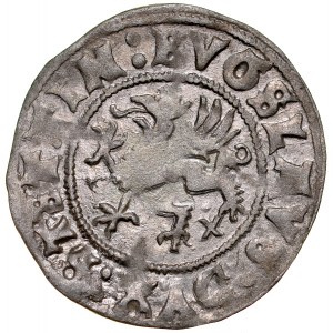 Pomoransko, Boguslaw X 1478-1523, Wit 1521, Szczecin.