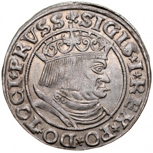 Žigmund I. Starý 1506-1548, Grosz 1532, Toruň.