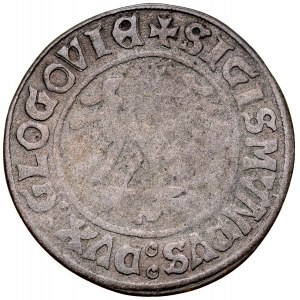 Sigismund I. der Alte 1506-1548, Pfennig ohne Datum, Głogów.