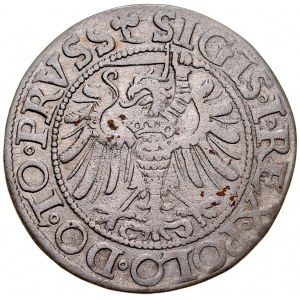 Zygmunt I Stary 1506-1548, Grosz 1539, Elbląg.
