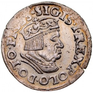 Sigismund I. der Alte 1506-1548, Trojak 1537, Danzig.