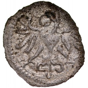 Zikmund II August 1545-1572, denár 1551, Wschowa, RRR.