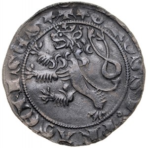 Václava II. 1300-1305, Praha penny, Av: : český lev.