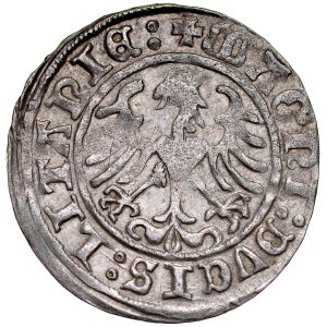 Sigismund I. der Alte 1506-1548, Halbpfennig 1509, Vilnius.