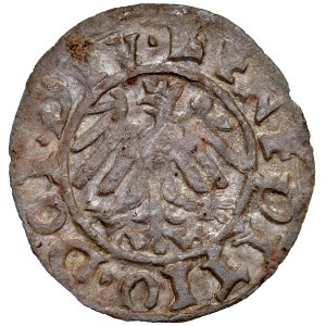 Schlesien, Herzogtum Tschenstochau, Wenzel III. Adam 1528-1579, Ternar 1569, Tschenstochau.
