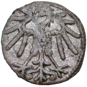 Zikmund I. Starý 1506-1548, denár bez datace SP, růže, Krakov.