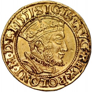 Zygmunt II August 1545-1572, Dukat 1551, Gdańsk. RRR.
