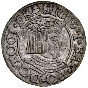 Sigismund I. der Alte 1506-1548, Grosz 1535, Danzig.