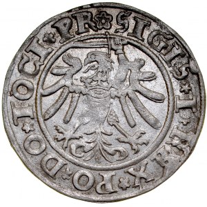 Sigismund I. der Alte 1506-1548, Grosz 1535, Elbląg.