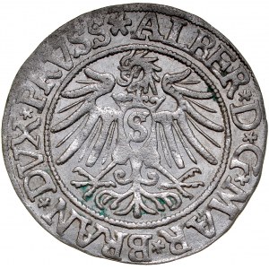 Prusy Książęce, Albrecht Hohenzollern 1525-1568, Grosz 1537, Królewiec.