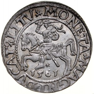 Sigismund II Augustus 1545-1572, Half-penny 1561, Vilnius.