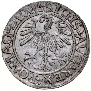Zygmunt II August 1545-1572, Półgrosz 1561, Wilno.