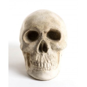 Continental ceramic skull - 20th century