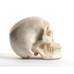 Continental ceramic skull - 20th century