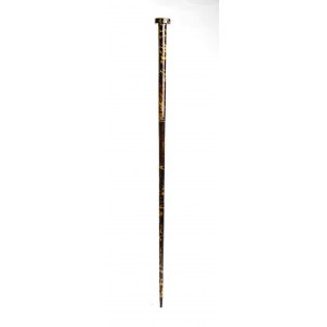 Art Dèco tortoiseshell walking stick cane - 1900-1920