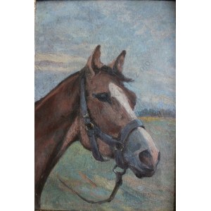 Zygmunt Rozwadowski (1870-1950), Head of a horse