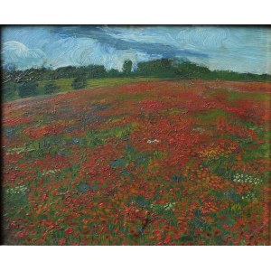 A.N.(20. Jahrhundert), Mohnblumenfeld